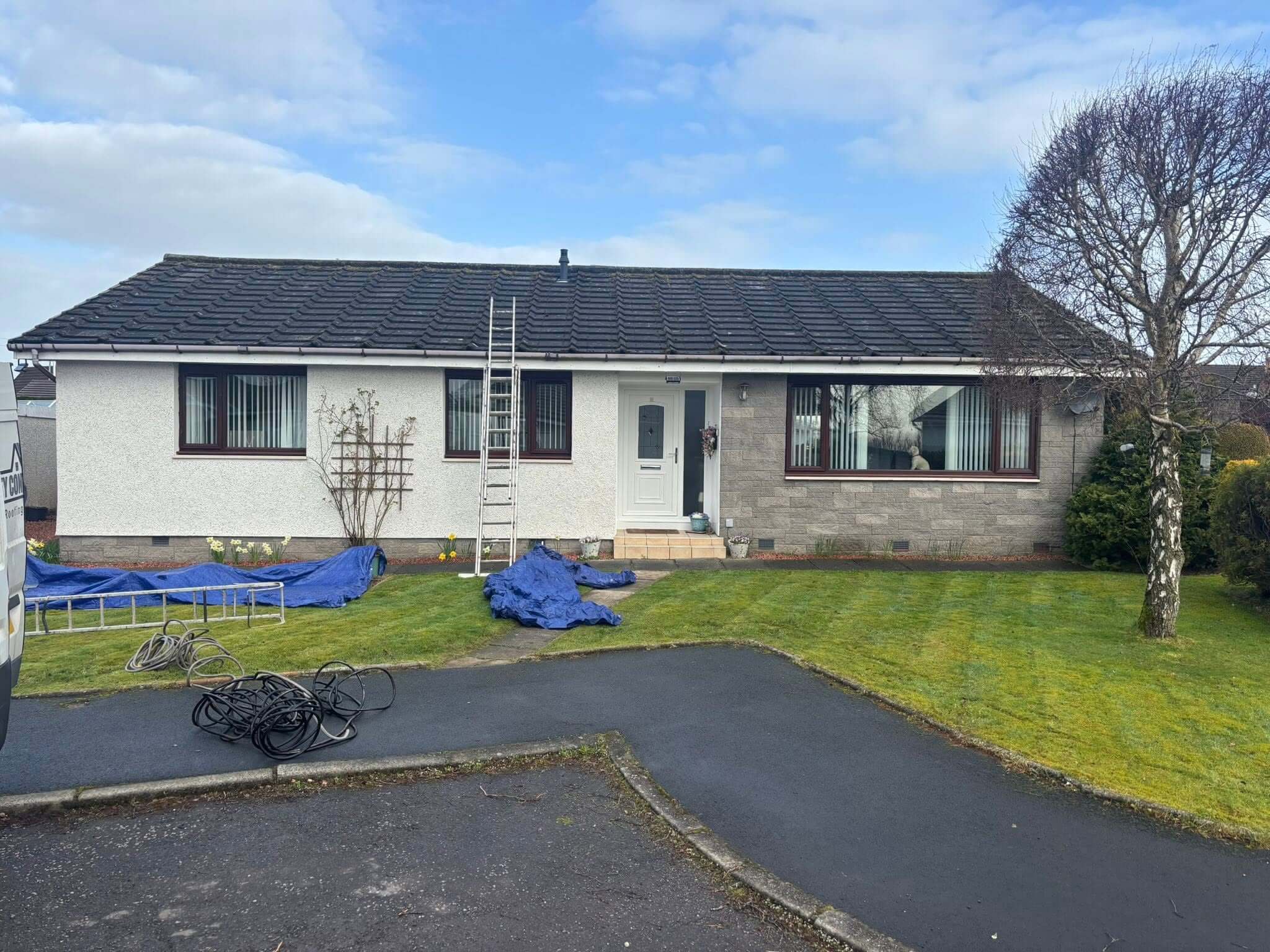 roof cleaning companies lanark